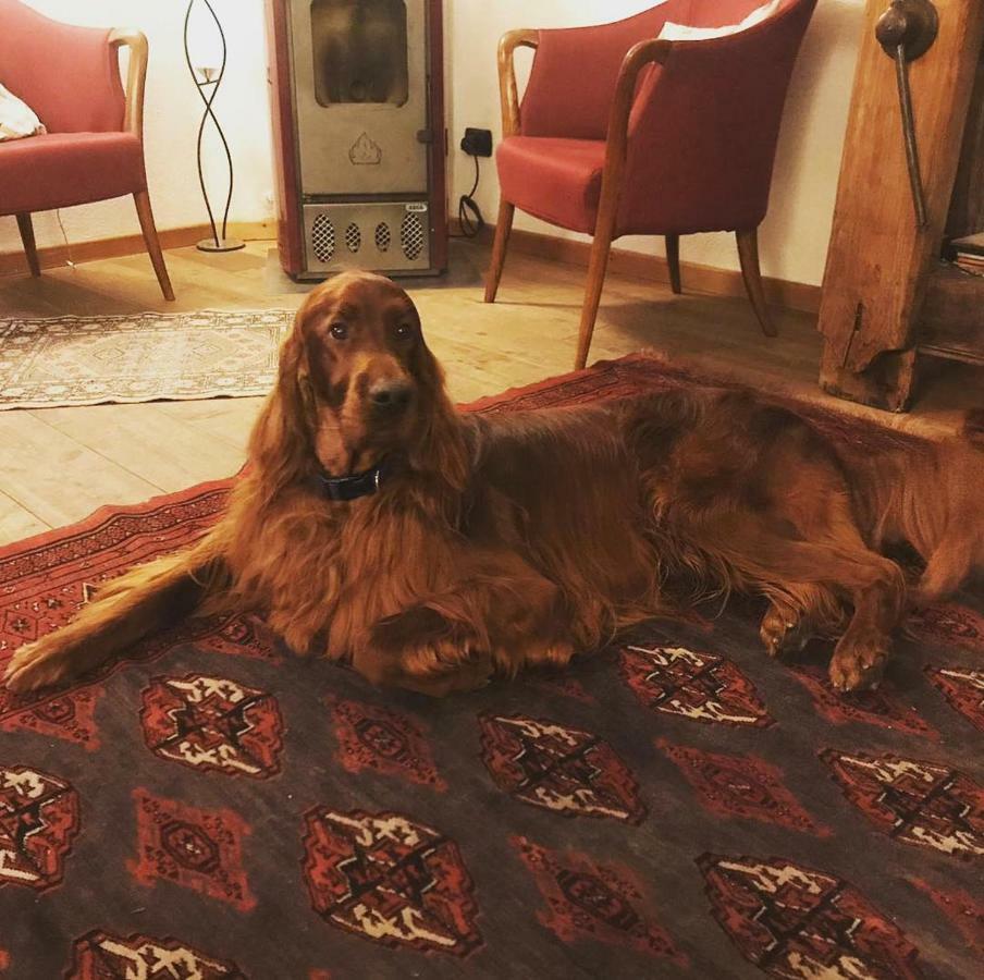 Albergo Aprica Garni Eksteriør bilde